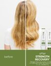 Biolage-2022-Strength-Recovery-Before-After-Lizzie-Back-1x1-1